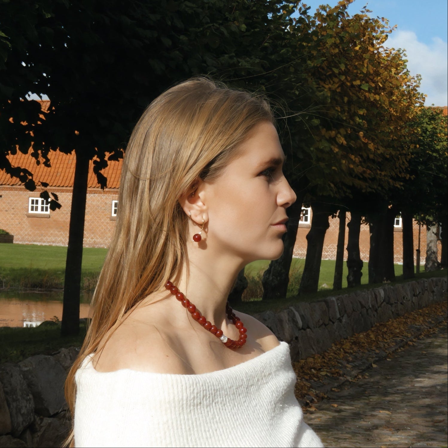 Red Agate Earrings - Amaré